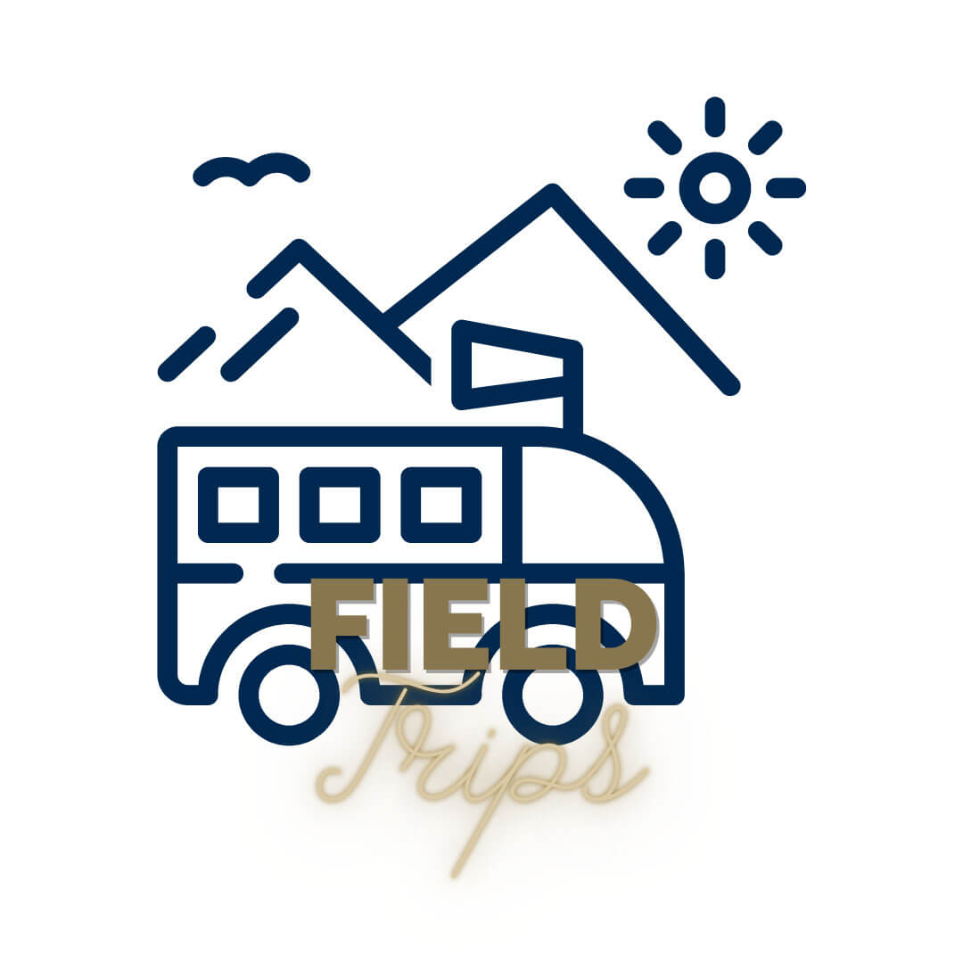 elementary-school-mater-dei-catholic-online-store